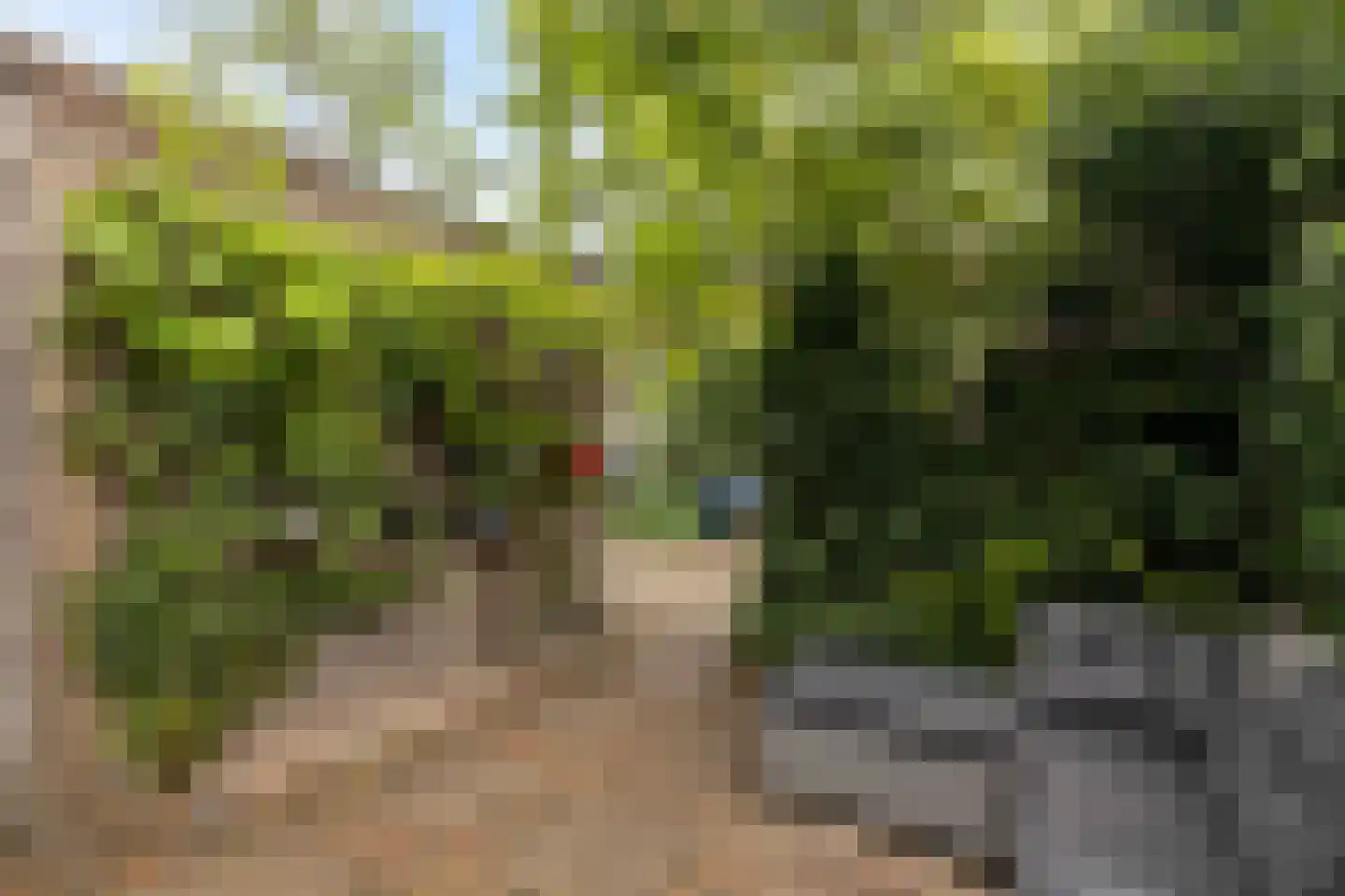Lekplantsoen 17 Utrecht thumbnail 20