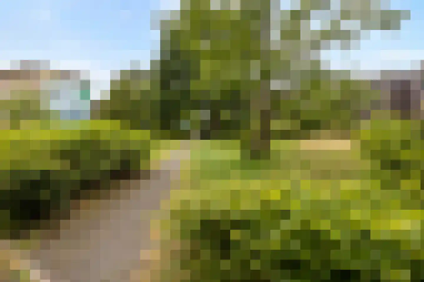 Lekplantsoen 17 Utrecht thumbnail 54