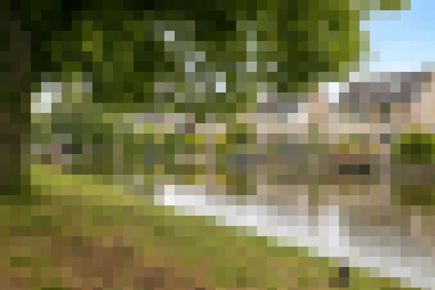 Lekplantsoen 17 Utrecht thumbnail 57