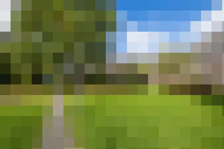 Lekplantsoen 37 Utrecht thumbnail 24