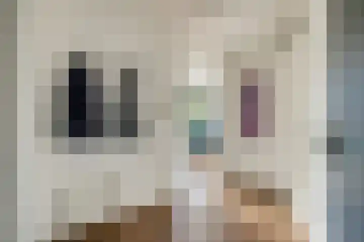 Lekplantsoen 37 Utrecht thumbnail 6