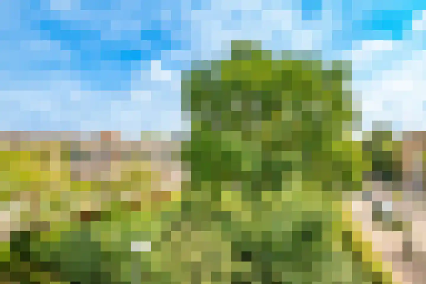Lekplantsoen 41 Utrecht thumbnail 30
