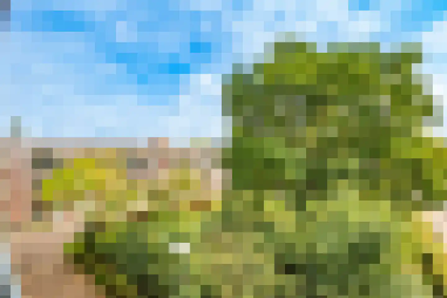 Lekplantsoen 41 Utrecht thumbnail 31