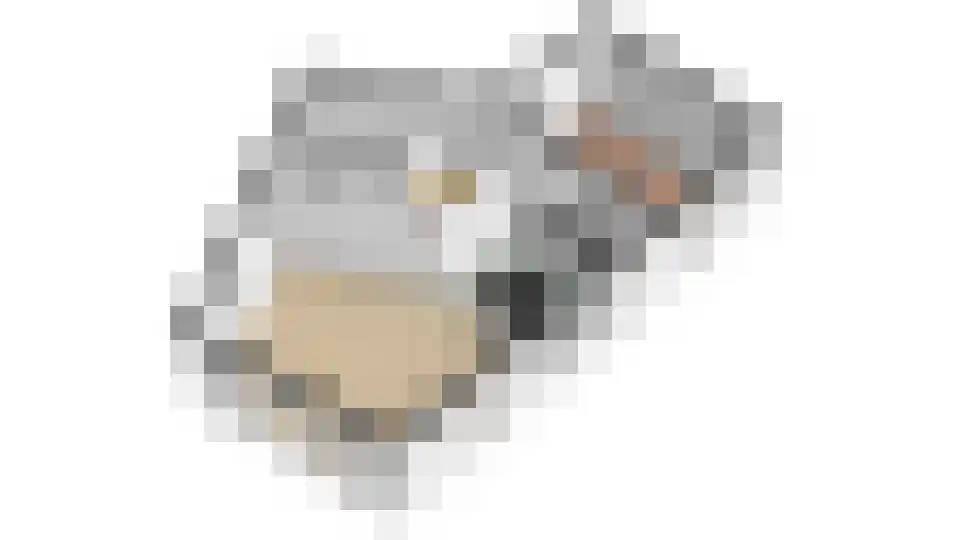 Lekplantsoen 41 Utrecht thumbnail 38