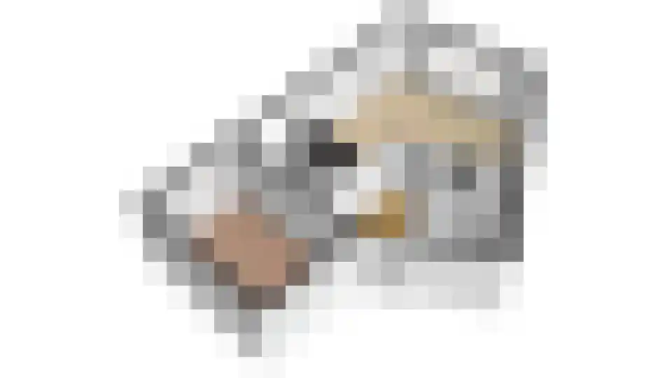 Lekplantsoen 41 Utrecht thumbnail 39