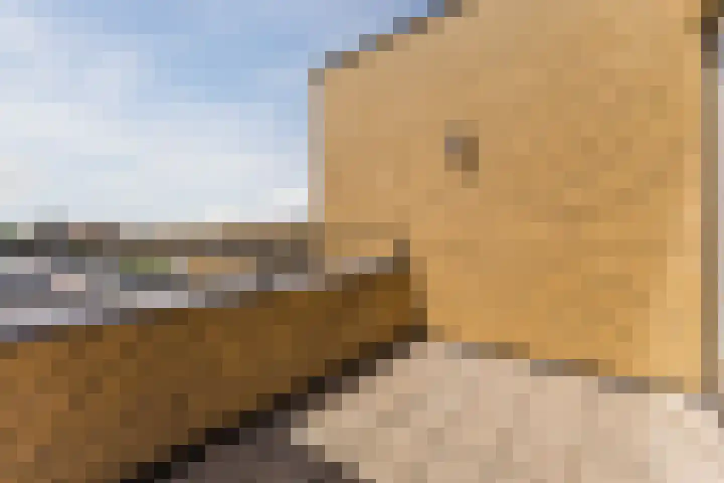 Lekplantsoen 5 Berkel en Rodenrijs thumbnail 22