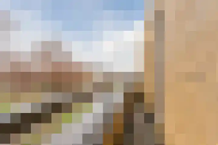 Lekplantsoen 5 Berkel en Rodenrijs thumbnail 25