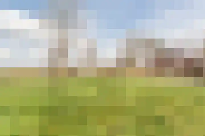 Lekplantsoen 5 Berkel en Rodenrijs thumbnail 28