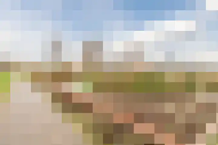 Lekplantsoen 5 Berkel en Rodenrijs thumbnail 29
