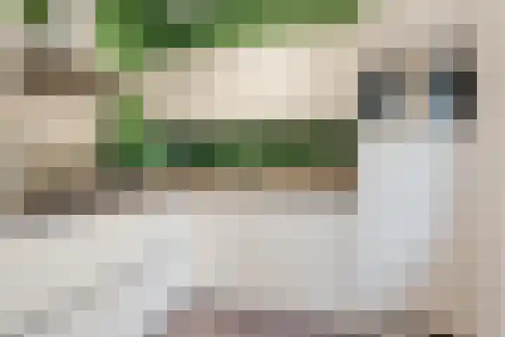 Lekplantsoen 5 Berkel en Rodenrijs thumbnail 8
