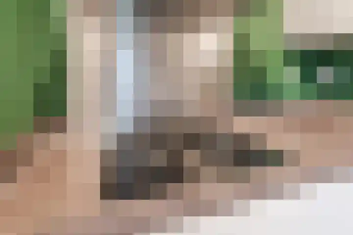 Lekplantsoen 5 Berkel en Rodenrijs thumbnail 9