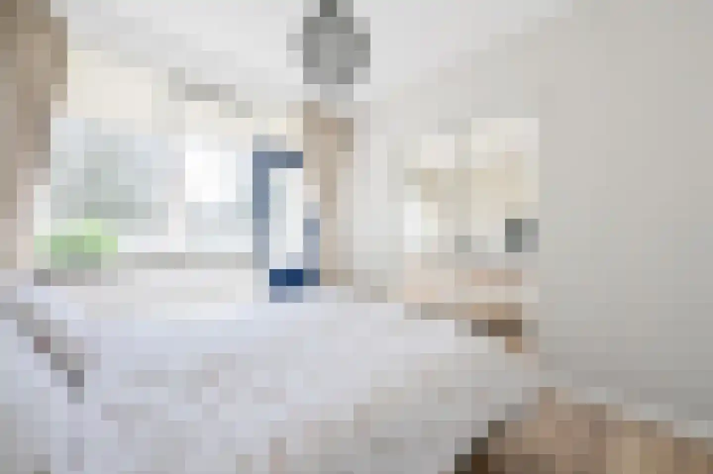 Leksmondhof 110 Amsterdam thumbnail 13