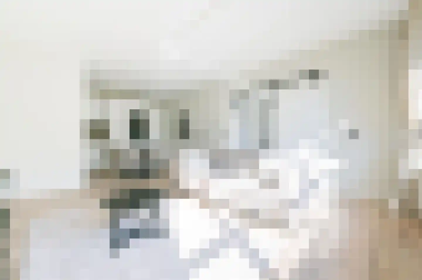 Leksmondhof 110 Amsterdam thumbnail 7