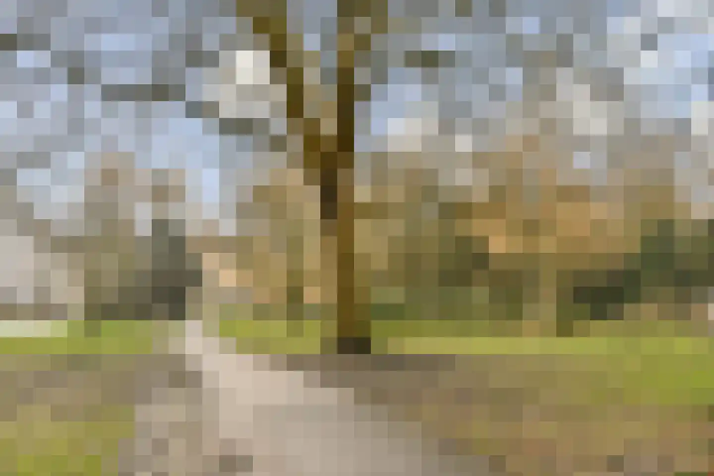 Leksmondhof 111 Amsterdam thumbnail 23