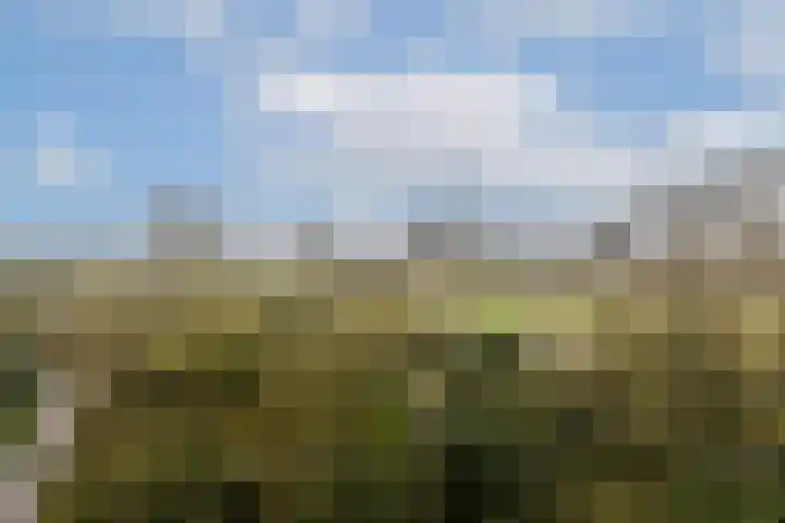 Leksmondhof 126 Amsterdam thumbnail 15