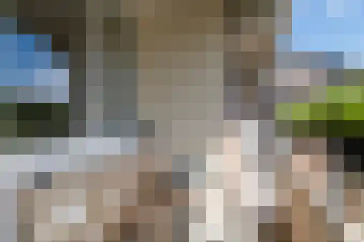 Leksmondhof 13 Amsterdam thumbnail 14