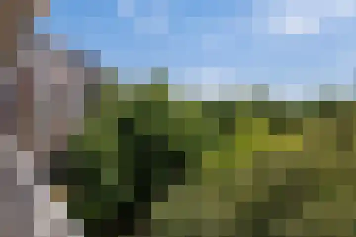 Leksmondhof 13 Amsterdam thumbnail 16
