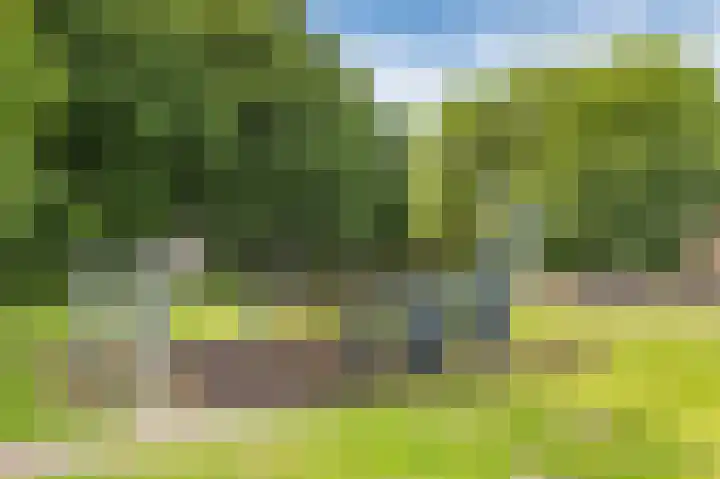 Leksmondhof 13 Amsterdam thumbnail 20