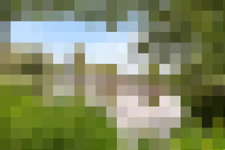 Leksmondhof 13 Amsterdam thumbnail 21