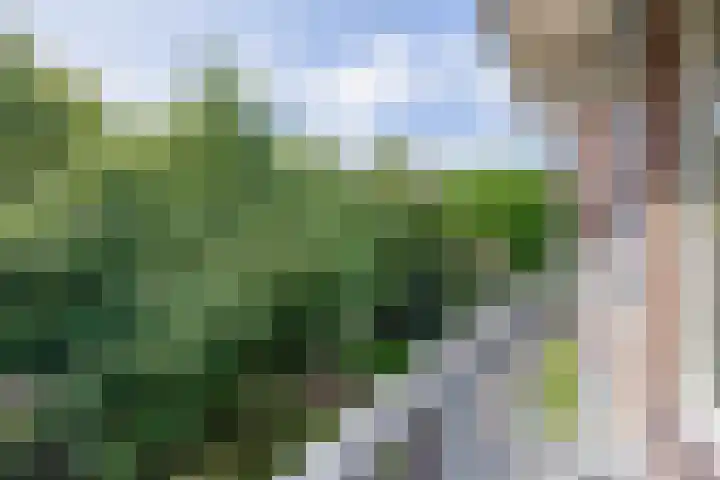 Leksmondhof 138 Amsterdam thumbnail 21