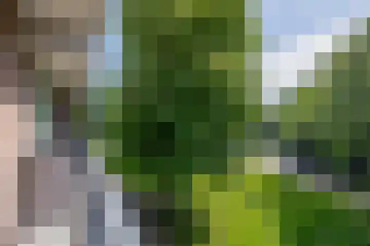 Leksmondhof 138 Amsterdam thumbnail 22