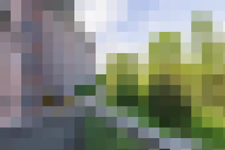 Leksmondhof 138 Amsterdam thumbnail 28