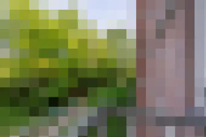 Leksmondhof 138 Amsterdam thumbnail 29