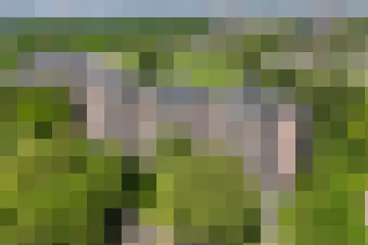 Leksmondhof 138 Amsterdam thumbnail 5