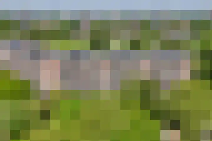 Leksmondhof 138 Amsterdam thumbnail 6