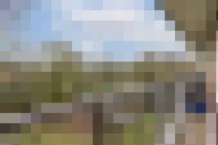 Leksmondhof 142 Amsterdam thumbnail 15