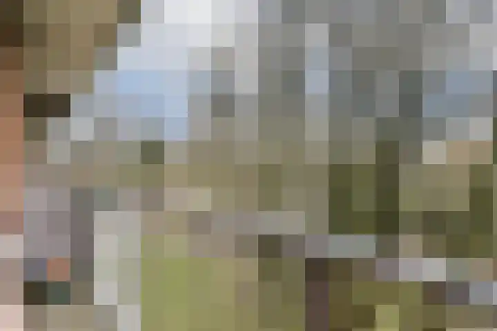 Leksmondhof 142 Amsterdam thumbnail 16