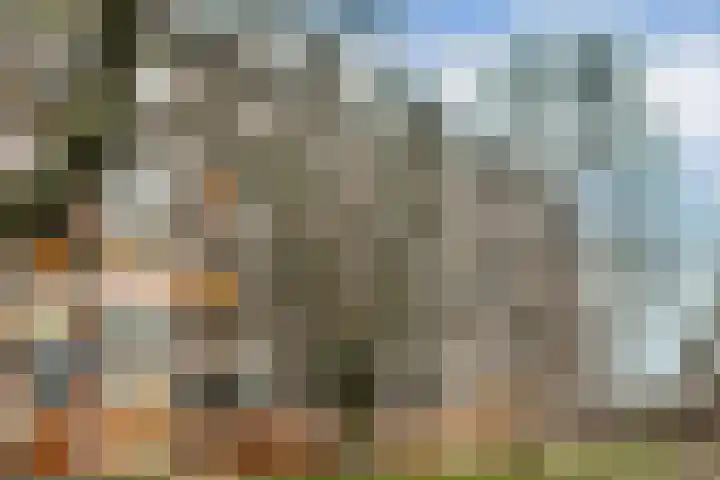 Leksmondhof 142 Amsterdam thumbnail 17