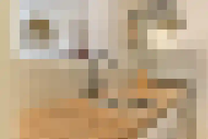 Leksmondhof 142 Amsterdam thumbnail 6