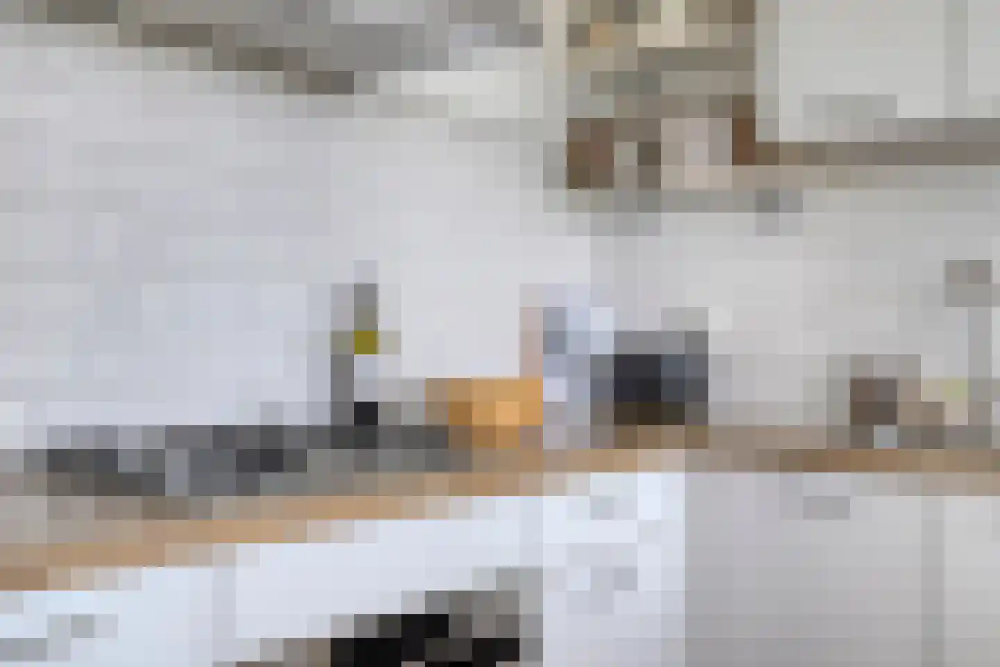 Leksmondhof 179 Amsterdam thumbnail 19