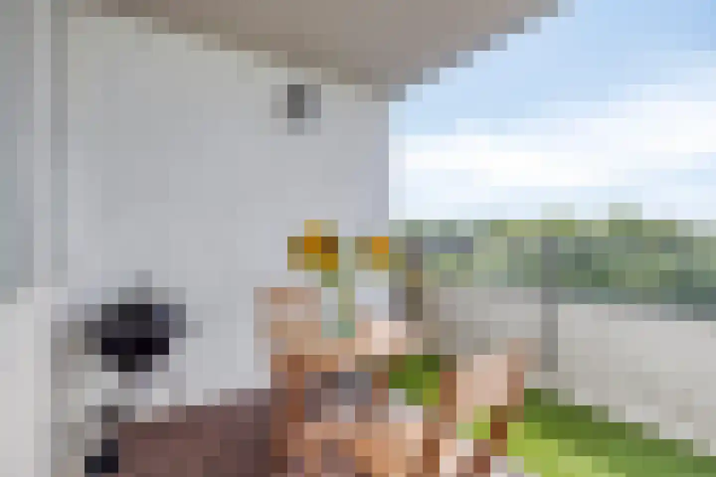 Leksmondhof 179 Amsterdam thumbnail 30