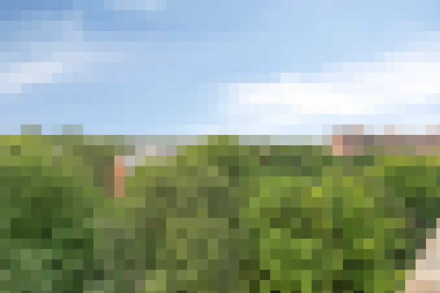 Leksmondhof 179 Amsterdam thumbnail 33