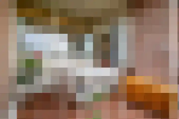 Leksmondhof 20 Amsterdam thumbnail 17