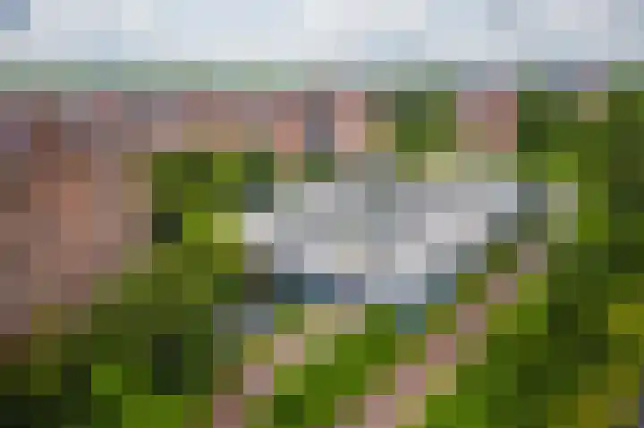 Leksmondhof 20 Amsterdam thumbnail 32