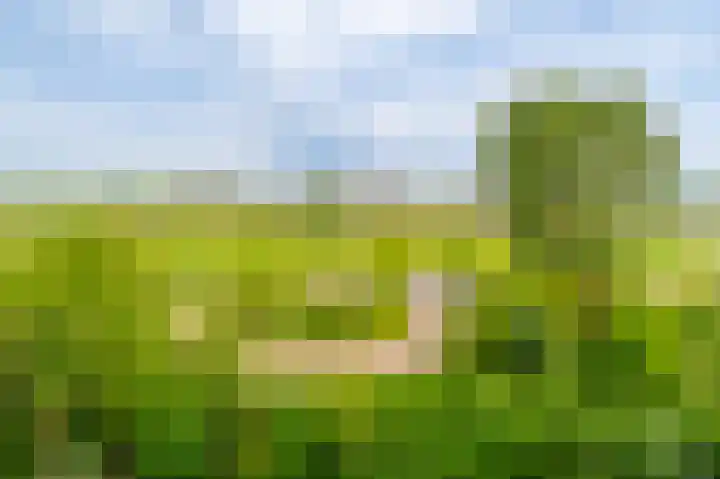 Leksmondhof 20 Amsterdam thumbnail 35
