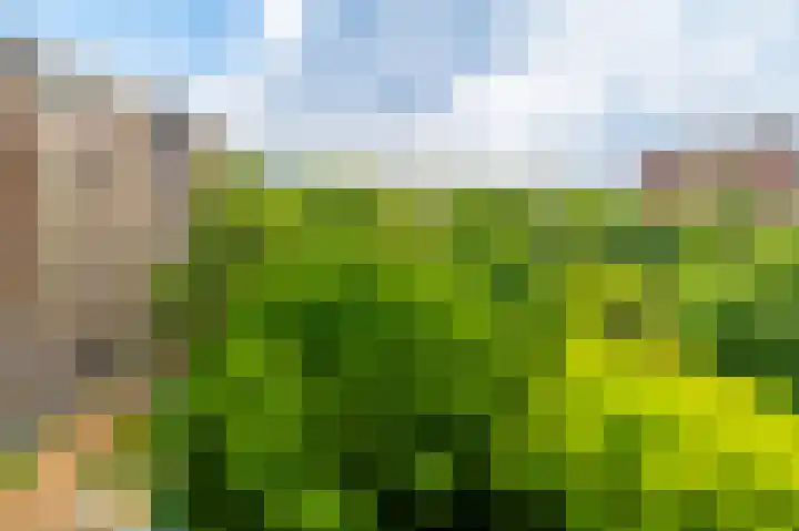 Leksmondhof 20 Amsterdam thumbnail 36