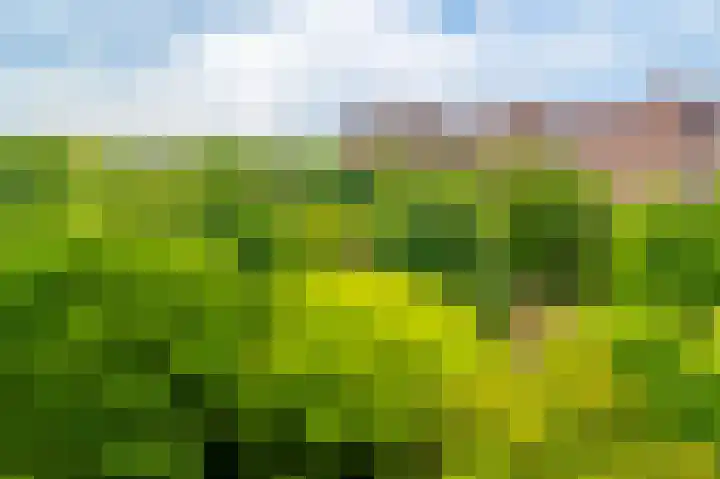 Leksmondhof 20 Amsterdam thumbnail 37