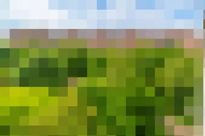 Leksmondhof 20 Amsterdam thumbnail 38