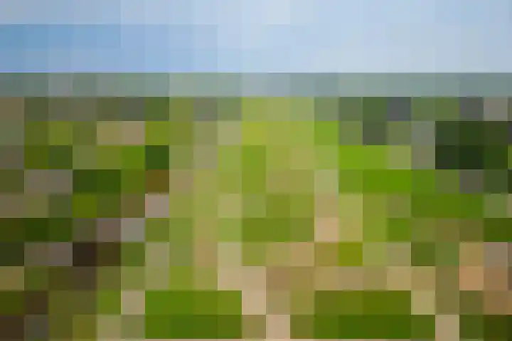 Leksmondhof 20 Amsterdam thumbnail 39