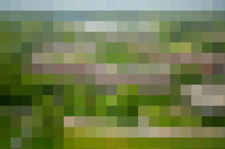 Leksmondhof 20 Amsterdam thumbnail 40