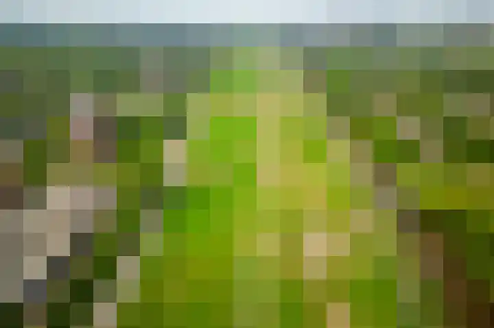 Leksmondhof 20 Amsterdam thumbnail 41
