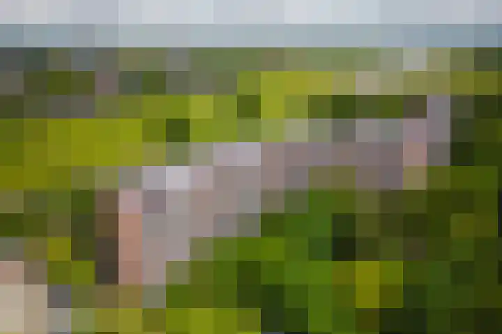 Leksmondhof 20 Amsterdam thumbnail 42