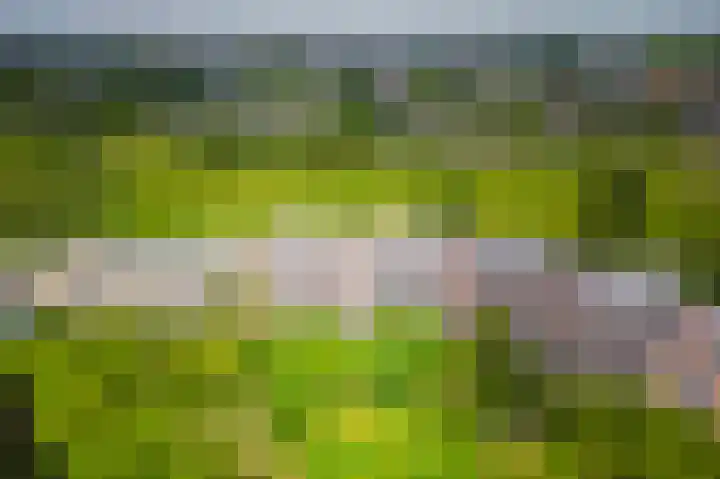 Leksmondhof 20 Amsterdam thumbnail 43