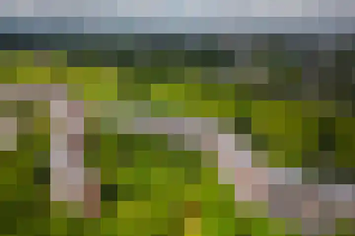 Leksmondhof 20 Amsterdam thumbnail 44
