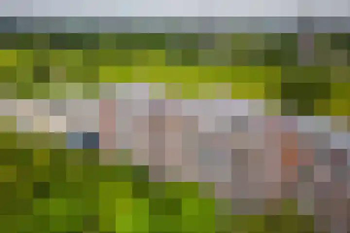 Leksmondhof 20 Amsterdam thumbnail 45
