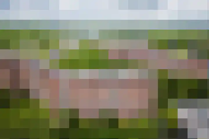Leksmondhof 20 Amsterdam thumbnail 47